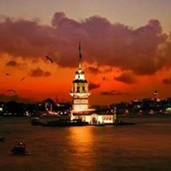 الشيخ عمر عبد الكافي