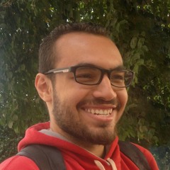 Mahmoud A. ElȜbassy
