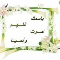 Salma Mohamed Abou Elsaad