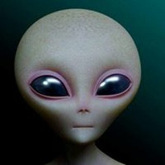 دربوكه الهايص بسلامته