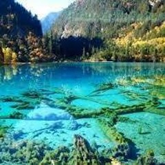 Abdalmoamen Ahmednosir