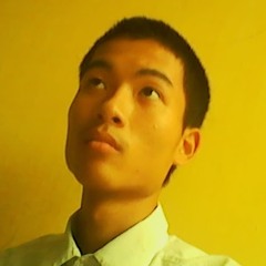 duc anh vu