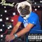 SurfSoundsMusik