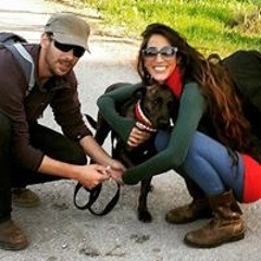 ירדן ותהל אילוף כלבים