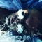 LAURENT MAYER - DJ BRAINWASHER