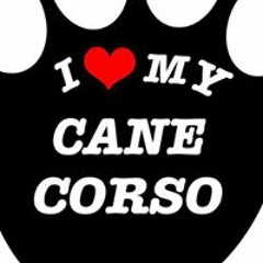 Aleksandar Tatjana Srdic