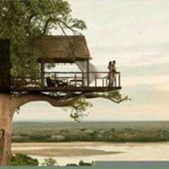 Dr-Amira Fawzy Almaz