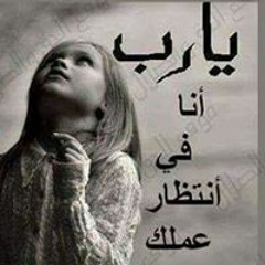 Ola Amer Abo Doleh