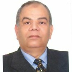 Mahmoud Halawa