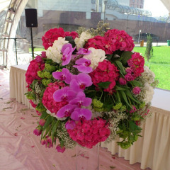 Дмитрий Чекмарев