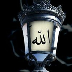 محمد مغاورى زكريا