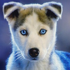 Yesterday was Tuesday