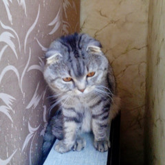 Глеб Кулешов