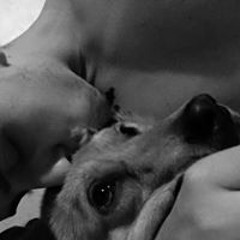 Виктор Танев