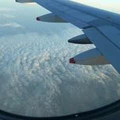 Наталья Амоль