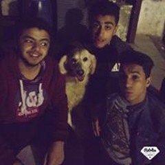 Mohamed Sayed