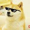 swag doge