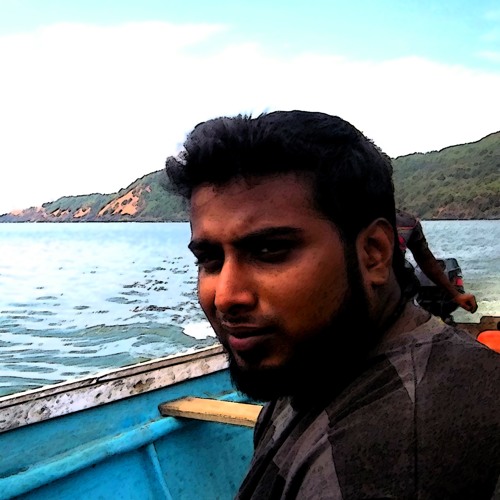 Bijesh Bodheswaran’s avatar