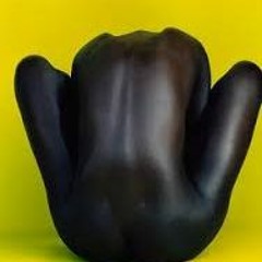 whitewallblackskin
