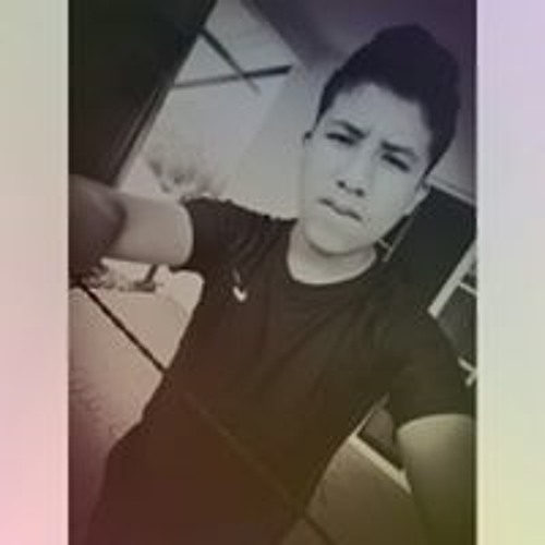 Ayrton Rosales’s avatar