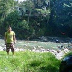 Diego Alexander Hende