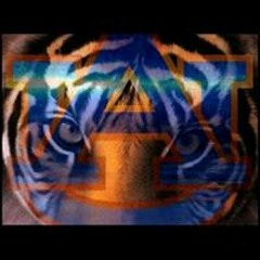 Courtney Montez Birgans