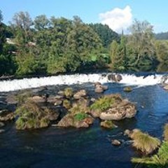 Daniel Caenchuzos Punta