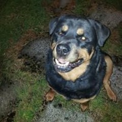 Kenneth Antony Gallagher