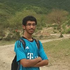 محمد السبيعي