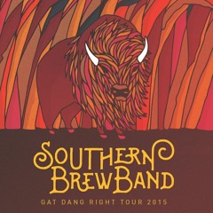 Southern Brew Band