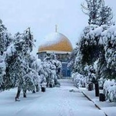 رعد البصراوي