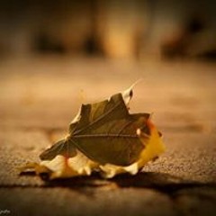 user431911148