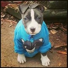 Jorge León Hernandez