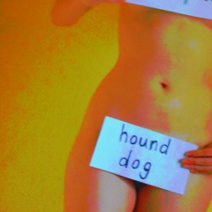 menopausal hound dog