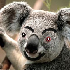 A.a.s. alone among stupid