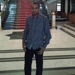 mahmoud saber
