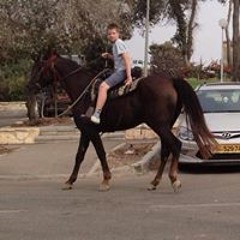 רמון טורג'מן