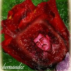 Yair Hernandez
