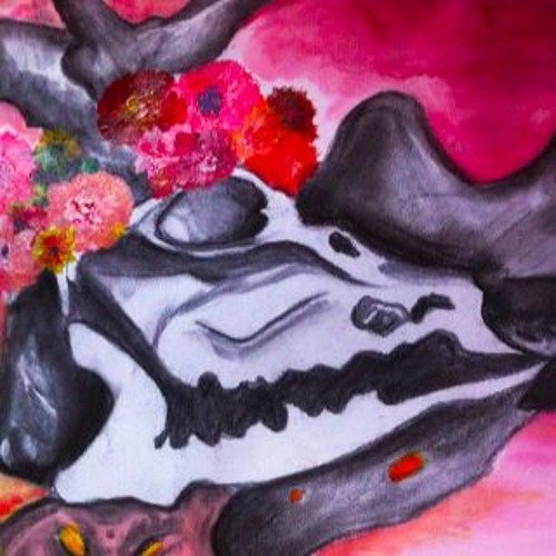 Hetty Bloom Blog Intro