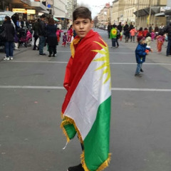 Roni Hussin