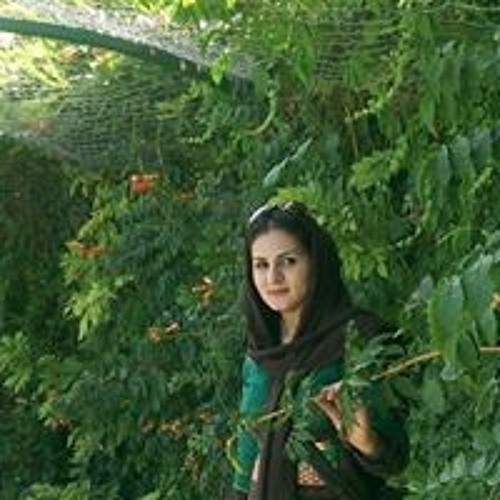 Masoumeh Dehghan’s avatar