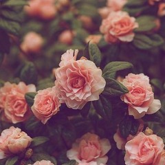 kxxlgrey