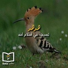 امين فارع