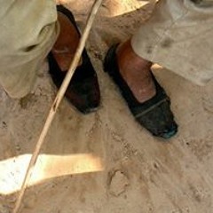 Gorrín Antonio José