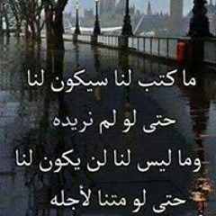 يحيى حمدي المقيد