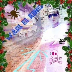wael mhamed