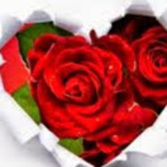 sabah javed