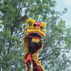 Lsr Tứ Hải Đường