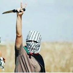 Abdelrhman Mohamed