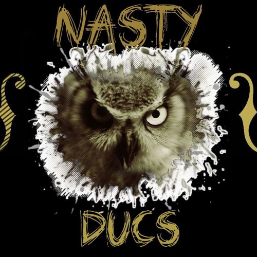 Nasty Ducs’s avatar